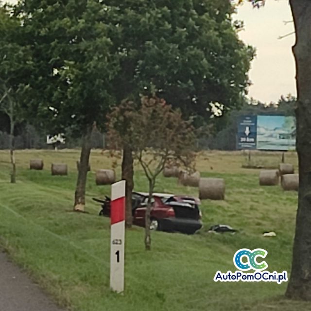 Tragiczny wypadek na drodze krajowej. Daewoo uderzyło w drzewo, nie żyje jedna osoba (zdjęcia)