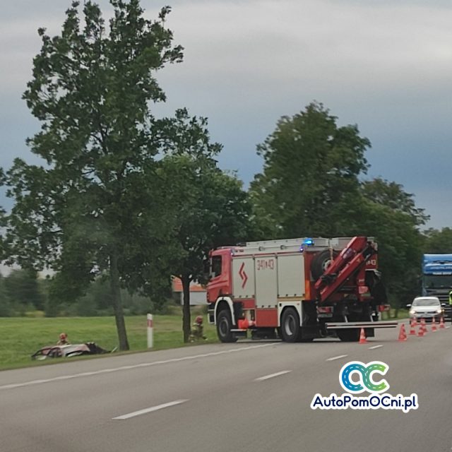 Tragiczny wypadek na drodze krajowej. Daewoo uderzyło w drzewo, nie żyje jedna osoba (zdjęcia)
