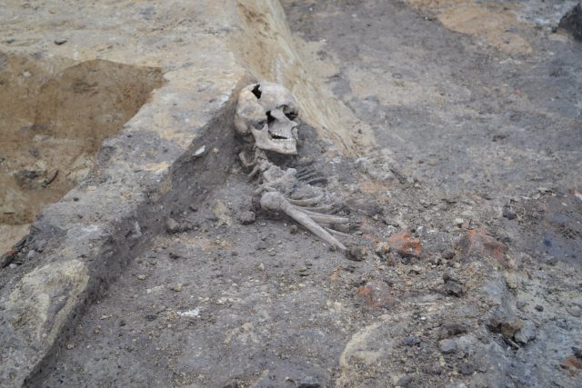 Ludzki szkielet na budowie szpitala przy ul. Staszica. Znajdował się w warstwie datowanej na XVI – XVII w. (zdjęcia)