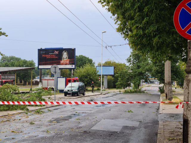 Miasto Lublin: Nawałnica powaliła lub uszkodziła około 100 drzew (zdjęcia)