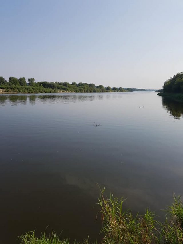 Kłusownik wpadł podczas wyjmowania sieci z rzeki (zdjęcia)