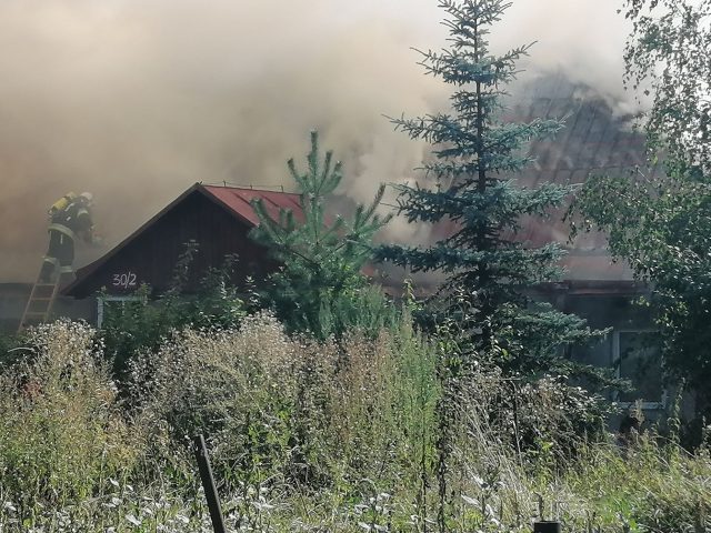 Strażacy walczą z pożarem domu wielorodzinnego. W akcji gaśniczej kilka zastępów straży pożarnej (wideo, zdjęcia)