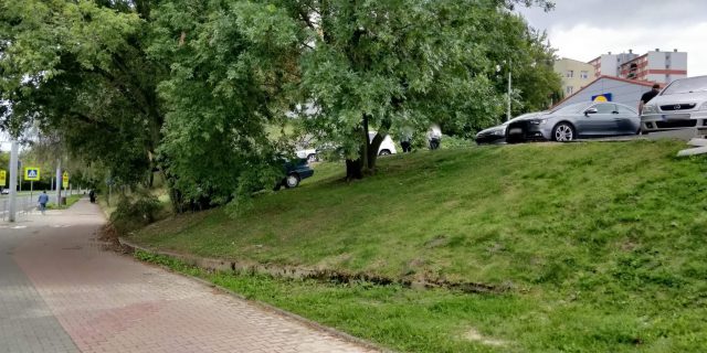 Samochód zjechał z parkingu marketu i uderzył w drzewo (zdjęcia)
