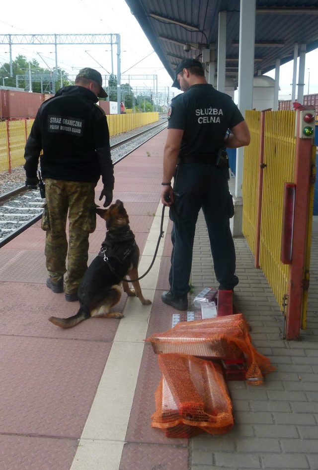 Nielegalne papierosy w podwoziach wagonów (zdjęcia)