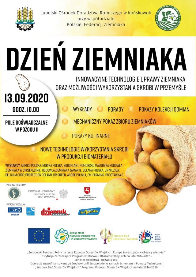 Dzień Ziemniaka w Końskowoli. Będą pokazy i smaczne dania z ziemniaków
