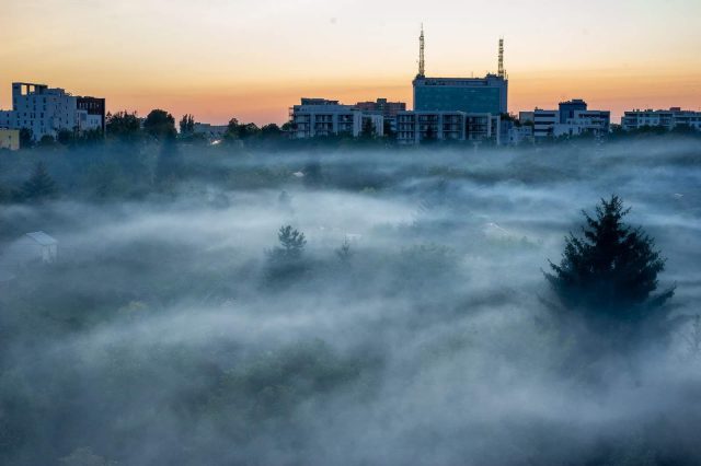 Działkowcy zadymili całą okolicę. Na miejsce wezwano strażaków (zdjęcia)