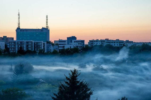 Działkowcy zadymili całą okolicę. Na miejsce wezwano strażaków (zdjęcia)