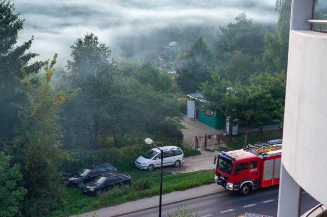 Działkowcy zadymili całą okolicę. Na miejsce wezwano strażaków (zdjęcia)