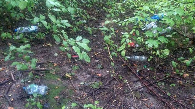 Postanowili posprzątać teren w rejonie Ogrodu Botanicznego. W akcji może wziąć udział każdy chętny