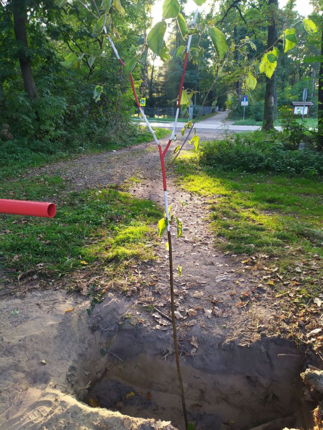 Wykopali dół, aby do lasu nie wjeżdżali motocykliści. Powstała groźna pułapka również na rowerzystów