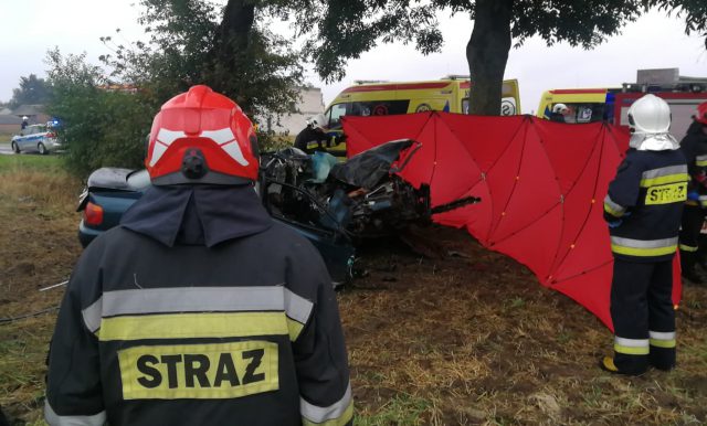 Audi uderzyło w drzewo. Jedna osoba nie żyje, druga jest w ciężkim stanie (zdjęcia)