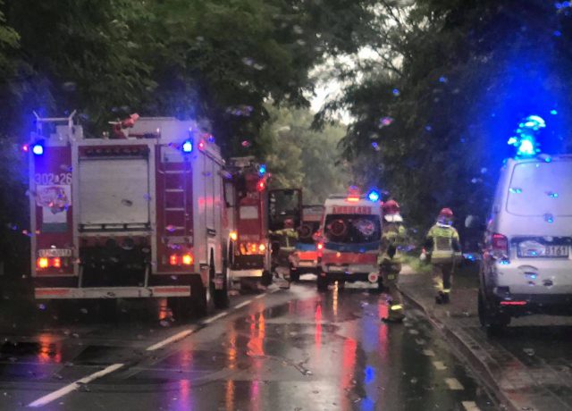 Autobus komunikacji miejskiej uderzył w drzewo. Kierowca trafił do szpitala (zdjęcia)