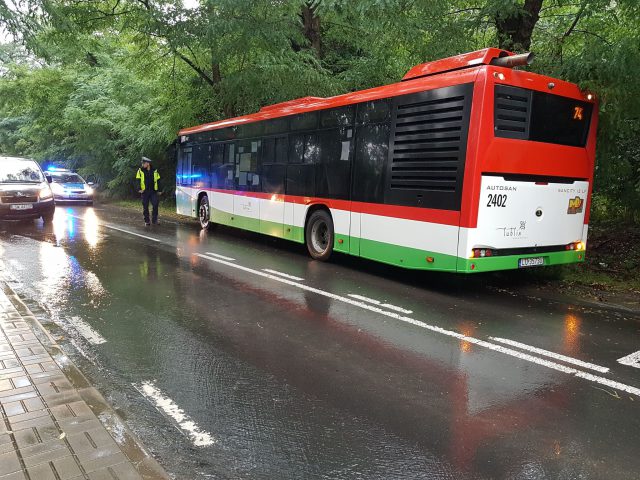 Autobus komunikacji miejskiej uderzył w drzewo. Kierowca trafił do szpitala (zdjęcia)