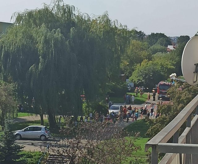 Kolejne alarmy bombowe w szkołach. Na miejscu pracują strażacy i policjanci (zdjęcia)