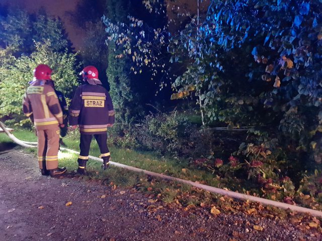 Płoną altanki na ogródkach działkowych. Strażacy walczą z pożarem (zdjęcia)