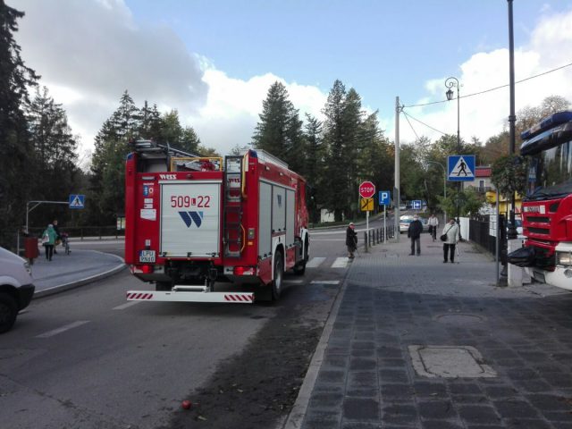 Stracił przytomność w trakcie jazdy, auto uderzyło w drzewo. Po reanimacji mężczyzna trafił do szpitala (zdjęcia)