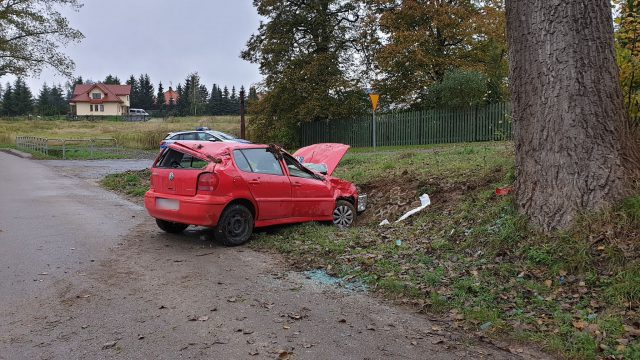 Na zakręcie straciła panowanie nad volkswagenem. Auto uderzyło w drzewo i dachowało (zdjęcia)