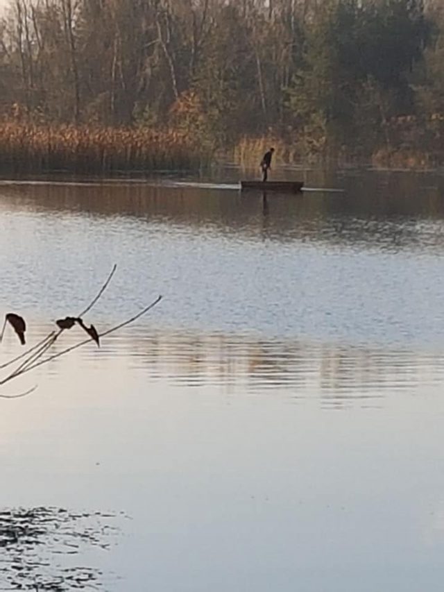 Postanowili, że nie odpuszczą i przez kilka dni czekali na kłusownika. Mężczyzna wpadł na gorącym uczynku (zdjęcia)