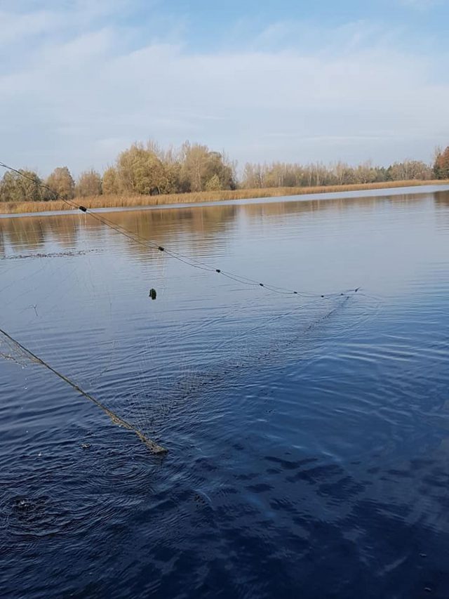 Postanowili, że nie odpuszczą i przez kilka dni czekali na kłusownika. Mężczyzna wpadł na gorącym uczynku (zdjęcia)