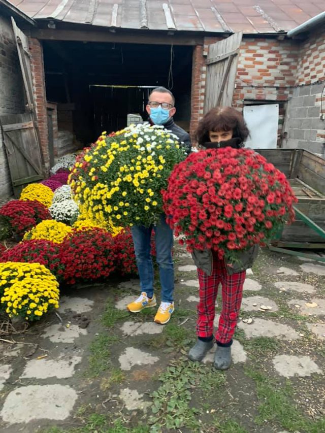Niosą wsparcie sprzedawcom kwiatów. Chryzantemy ozdobią tereny miejskie (zdjęcia)