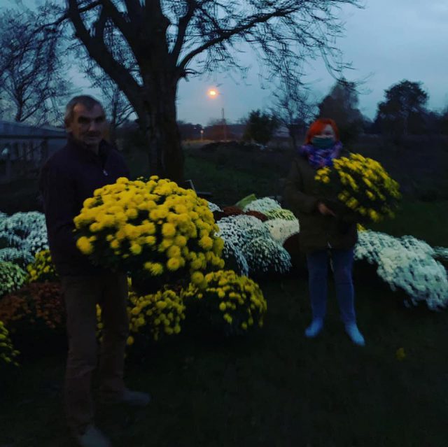 Niosą wsparcie sprzedawcom kwiatów. Chryzantemy ozdobią tereny miejskie (zdjęcia)