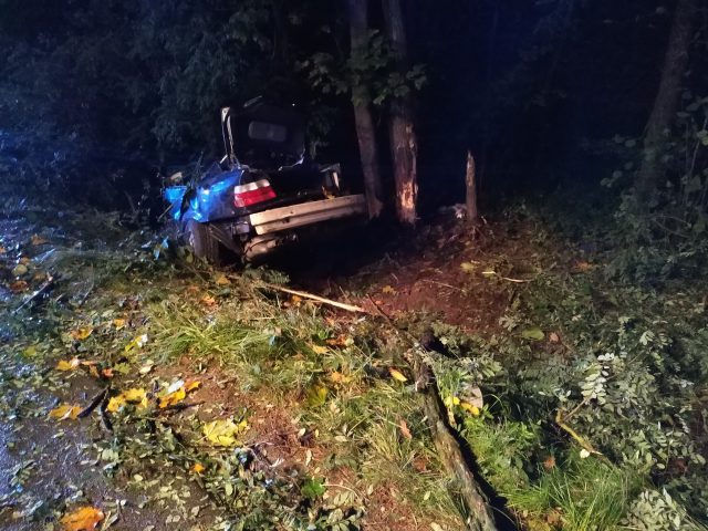 Tragiczny wypadek w naszym regionie. BMW uderzyło w drzewo, dwie osoby zginęły na miejscu (zdjęcia)