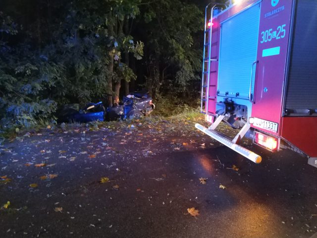 Tragiczny wypadek w naszym regionie. BMW uderzyło w drzewo, dwie osoby zginęły na miejscu (zdjęcia)