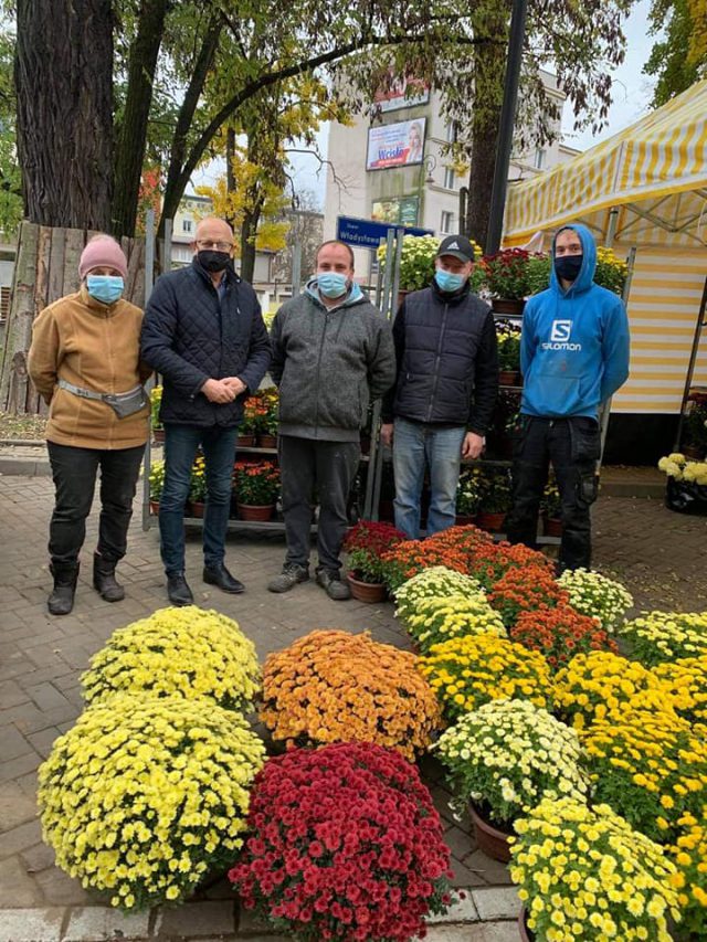 Prezydent Lublina kupił chryzantemy przy ul. Lipowej. „Chcę w ten sposób pomóc lokalnym producentom kwiatów i handlowcom” (zdjęcia)