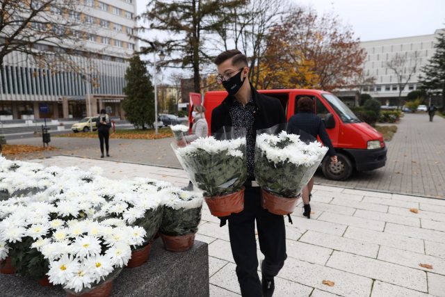 Do akcji wspierania producentów i sprzedawców chryzantem dołączył się UMCS (zdjęcia)