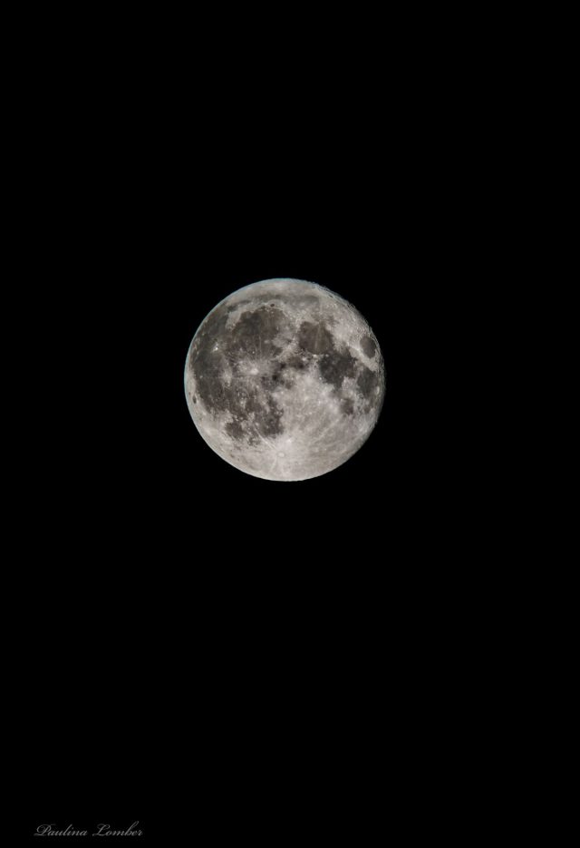 W weekend można było podziwiać Niebieski Księżyc. Zwykle zdarza się to raz na 2,5 roku (zdjęcia)