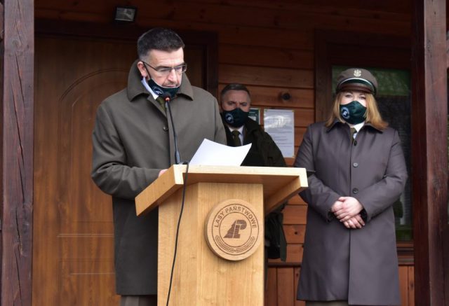 Ponad 5 tys. zł za metr sześcienny drewna. Lubelscy leśnicy sprzedawali najcenniejsze okazy (zdjęcia)