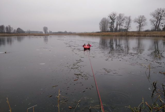 Pierwsze przymrozki dały znać o sobie ptakom. Strażacy ratowali uwięzione w lodzie łabędzie (zdjęcia)