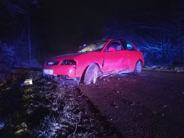 Audi uderzyło w skarpę, kierowca uciekł. Mężczyznę znaleziono w pobliskich zaroślach (zdjęcia)