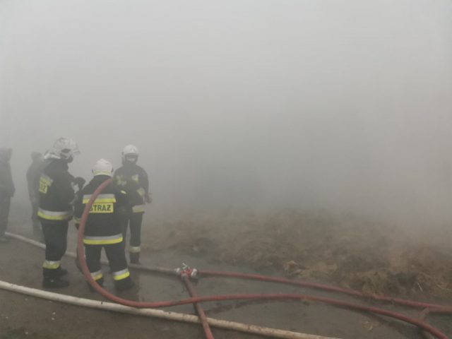 Strażacy gasili pożar obory. W akcji dziewięć zastępów straży pożarnej (zdjęcia)