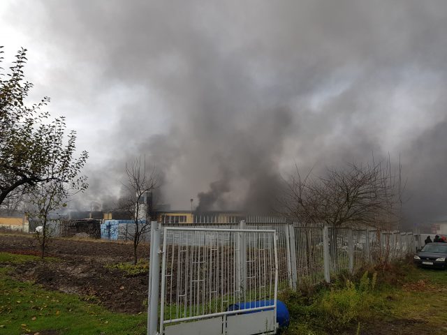 Ogromny pożar w zakładzie produkcyjnym. Z ogniem walczy kilkudziesięciu strażaków (wideo, zdjęcia)