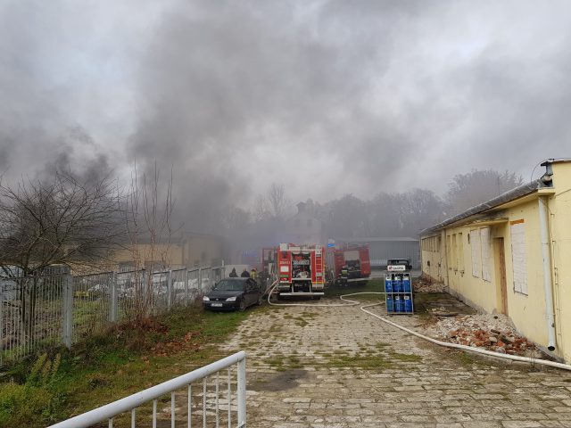 Ogromny pożar w zakładzie produkcyjnym. Z ogniem walczy kilkudziesięciu strażaków (wideo, zdjęcia)