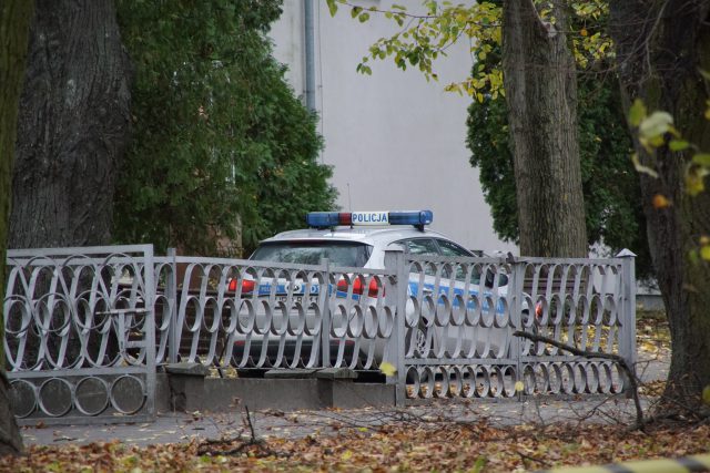 Wypadek podczas ścinania drzewa w Lublinie. Mężczyzna trafił do szpitala (zdjęcia)