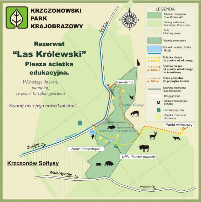 Kolory jesieni w rezerwacie przyrody „Las Królewski” (zdjęcia)