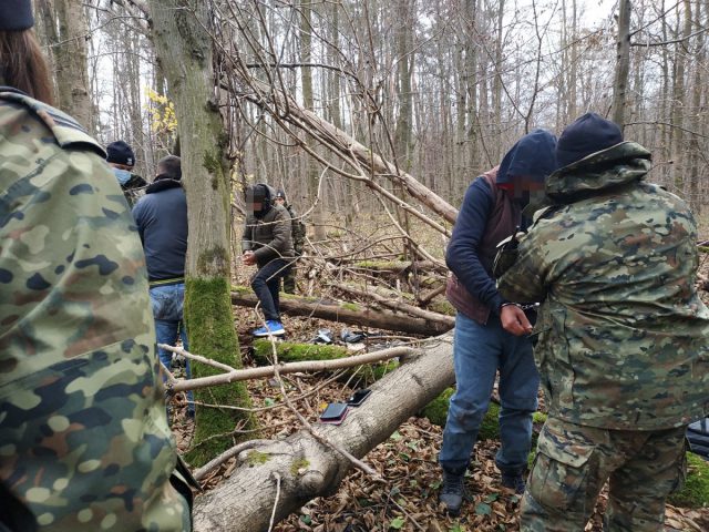 Obywatele Turcji chcieli dotrzeć do Francji. Nielegalni migranci chowali się w kłodach zwalonych drzew (zdjęcia)