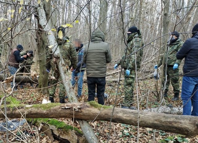Obywatele Turcji chcieli dotrzeć do Francji. Nielegalni migranci chowali się w kłodach zwalonych drzew (zdjęcia)