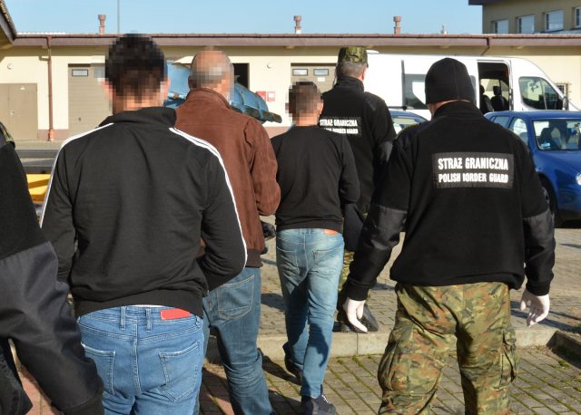 Obywatele Turcji chcieli dotrzeć do Francji. Nielegalni migranci chowali się w kłodach zwalonych drzew (zdjęcia)