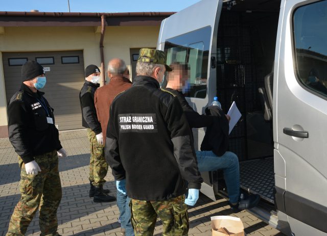 Obywatele Turcji chcieli dotrzeć do Francji. Nielegalni migranci chowali się w kłodach zwalonych drzew (zdjęcia)