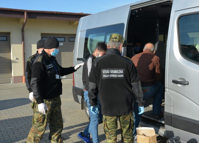 Obywatele Turcji chcieli dotrzeć do Francji. Nielegalni migranci chowali się w kłodach zwalonych drzew (zdjęcia)