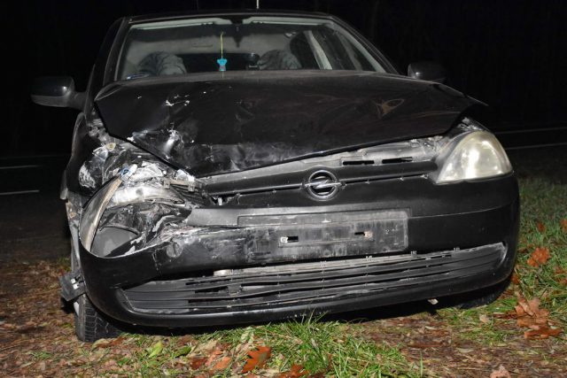 Dostrzegł wchodzącego na jezdnię łosia. Zdołał wyhamować, w jego auto wjechał jednak kierowca opla (zdjęcia)