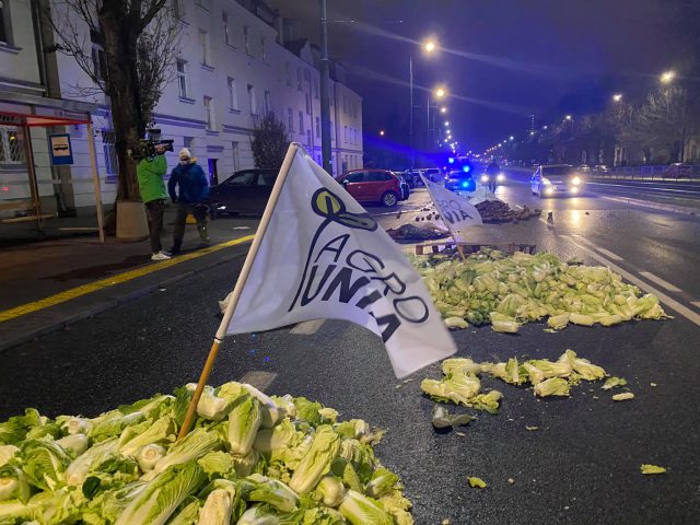 Kolejna odsłona protestu rolników. Martwa świnia, jaja, ziemniaki i kapusta w pobliżu domu Jarosława Kaczyńskiego (zdjęcia, wideo)