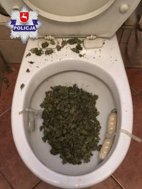 Nie zdążył spuścić marihuany w toalecie (zdjęcia)