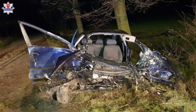 Pijany 24-latek roztrzaskał auto na drzewie. Z pojazdu wypadł silnik (zdjęcia)