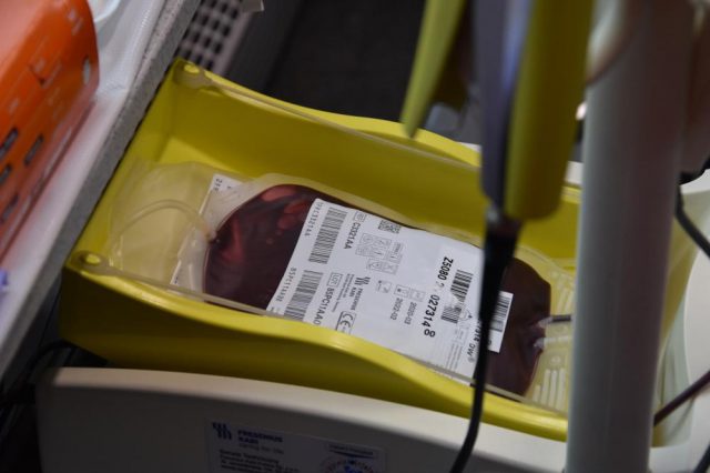 Oddali krew, otrzymali choinki (zdjęcia)