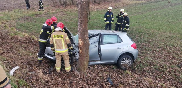 Toyota uderzyła w drzewo. Kierowca wraz z dzieckiem trafili do szpitala (zdjęcia)