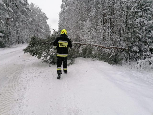 Zaczęło się od dachowania i przewróconej cysterny, potem było już tylko gorzej (zdjęcia)